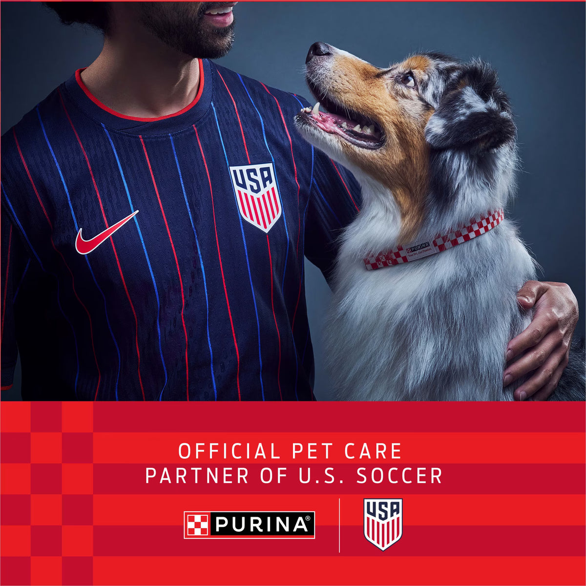 Purina Dog Chow Complete Dry Dog Food for Adult Dogs High Protein, Lamb, 44 lb Bag