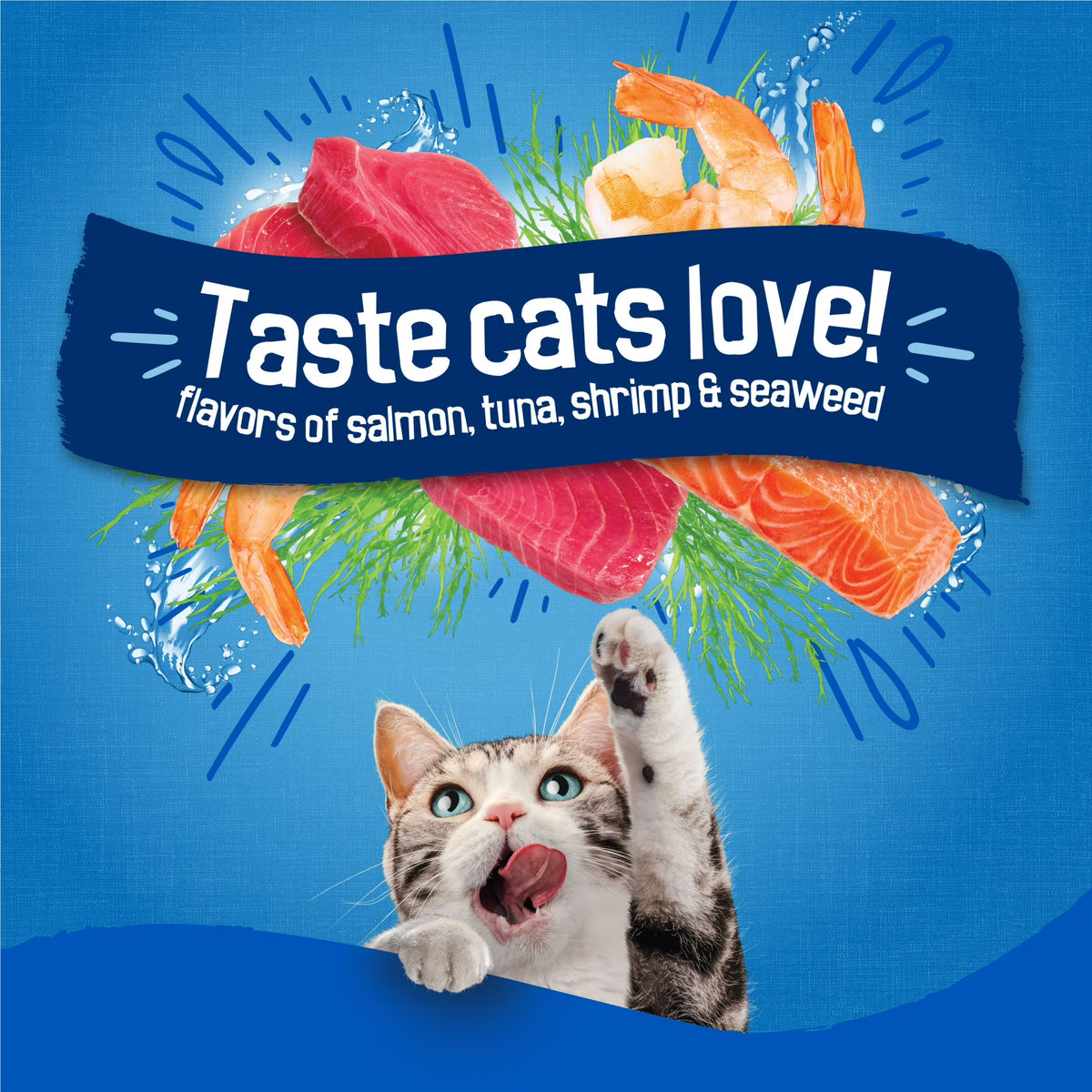 Purina Friskies Dry Cat Food Seafood Sensations with Salmon, Tuna, and Shrimp Flavors, 16 lb Bag