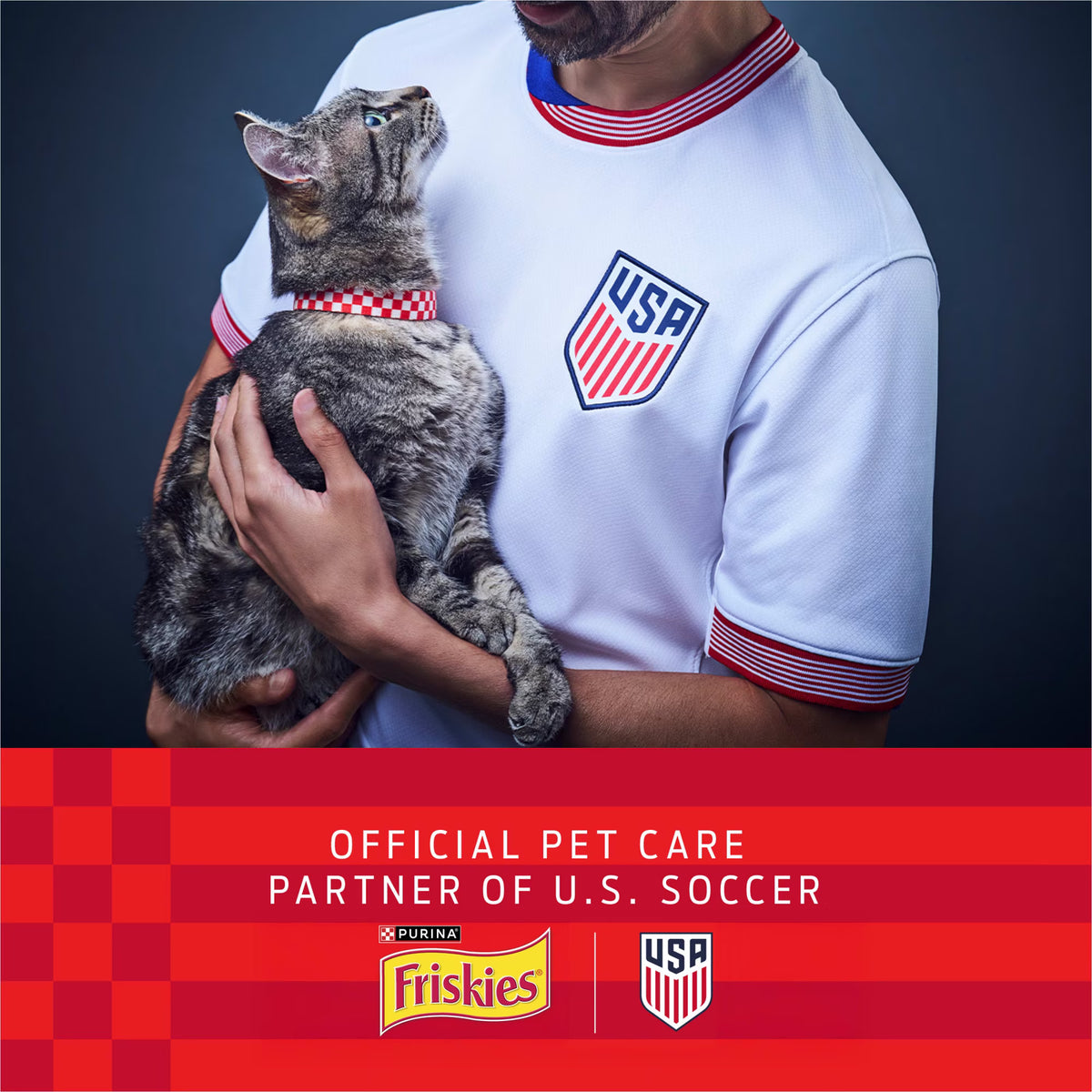 Purina Friskies Surfin and Turfin Favorites Dry Cat Food Flavors of Chicken, Whitefish, Salmon and Filet Mignon, 16 lb Bag