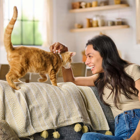 Meow Mix Original Choice Dry Cat Food, 16 lb. Bag