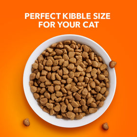 Iams Proactive Health Chicken And Turkey Dry Cat Food, 22 Lb Bag