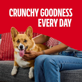 Milk Bone Flavor Snacks Mini’s Dog Biscuits, Flavored Crunchy Dog Treats, 15 oz Box