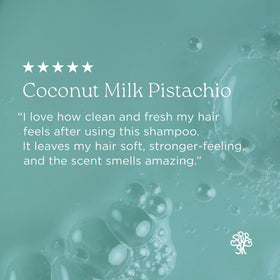 Hairitage Coconut Milk Pistachio Strengthening Shampoo for Dry Damaged Hair, 15 fl oz