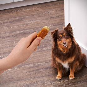 Golden Rewards Peanut Butter Flavor Biscuit Wrapped with Chicken Dry Biscuit Treats for Dogs, 32 oz