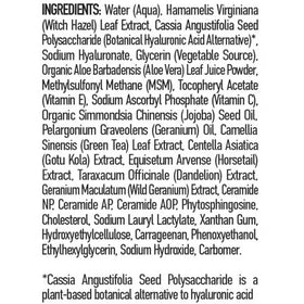 TruSkin Hyaluronic Acid Face Serum, Dual-Action Hydration with Ceramides & Aloe, 1 fl oz