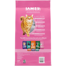 Iams Proactive Health Turkey Dry Cat Food, 6 Lb Bag