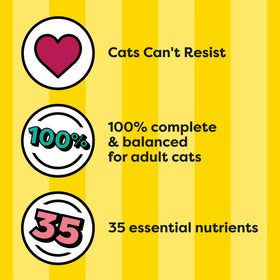 Temptations Tasty Chicken Flavor Dry Cat Food, 3.15 Lb Bag