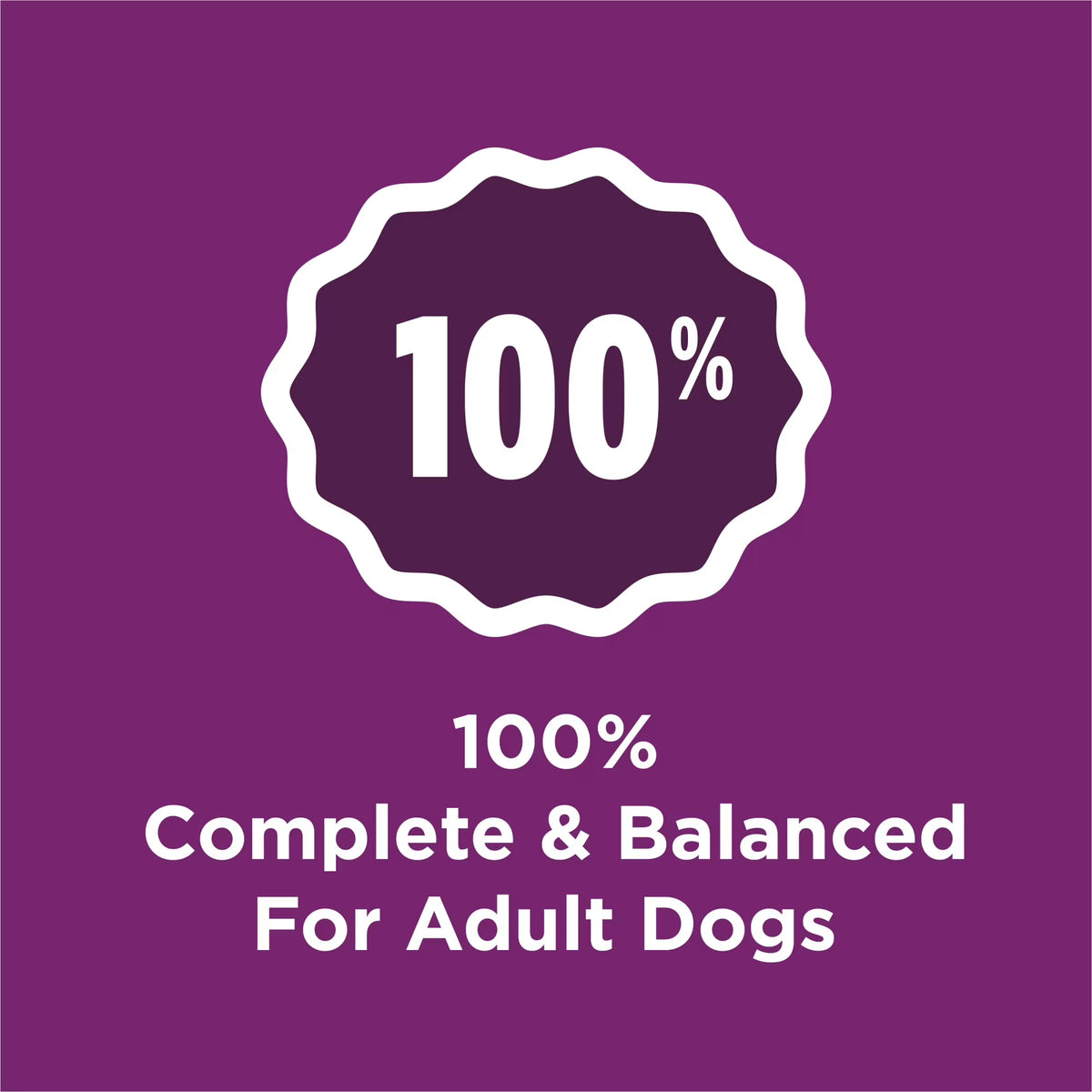 Purina Dog Chow Complete Dry Dog Food for Adult Dogs High Protein, Lamb, 18.5 lb Bag