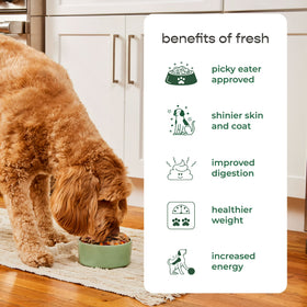 Freshpet Fresh Dog Food, Tender Chicken Recipe, Slice & Serve Roll, 1 lb.