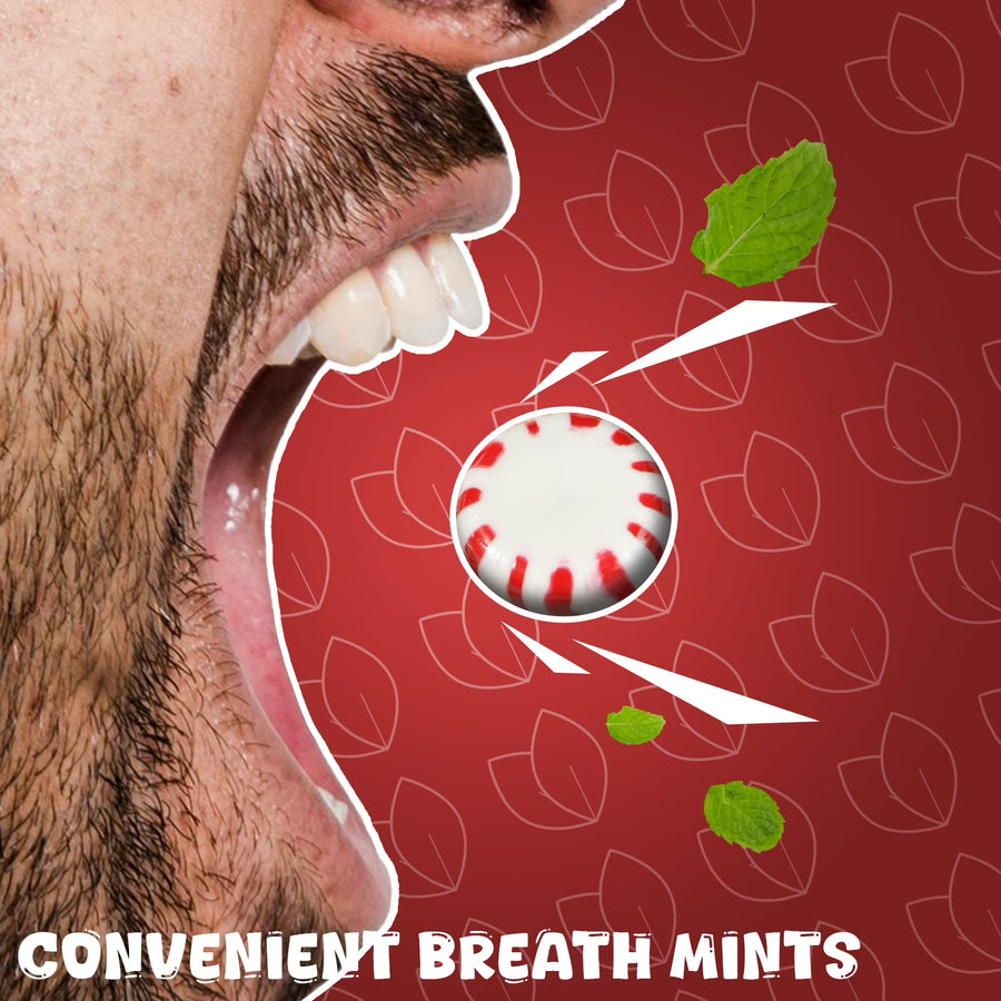 Starlight Peppermint Candy Bulk - 1 Pound Refreshing Peppermints in Bulk Individually Wrapped - Mints Individually Wrapped Hard Candy Bag