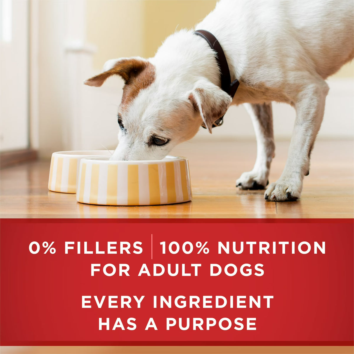 Purina ONE Tender Cuts in Gravy Chicken and Brown Rice, and Beef and Barley Entrees Wet Dog Food Variety Pack, 13 oz Cans
