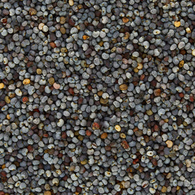 Great Value Organic Poppy Seeds, 2.4 oz