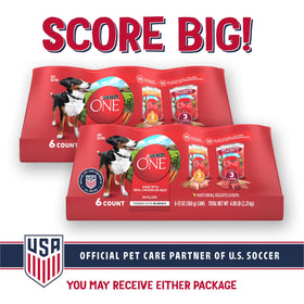 Purina ONE Tender Cuts in Gravy Chicken and Brown Rice, and Beef and Barley Entrees Wet Dog Food Variety Pack, 13 oz Cans