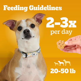 Pedigree Small Tasty Biscuits Dog Treats, Peanut Butter & Bacon Flavor, 64-oz Bag
