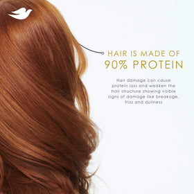 Dove Conditioner for Dry Hair Daily Moisture with Bio-Protein Care Technology and Hyaluronic Serum, 28 Fl Oz
