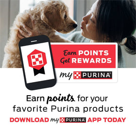 Purina Puppy Chow Dry Dog Food for Large Breeds, High Protein Growth with Chicken, 30 lb Bag