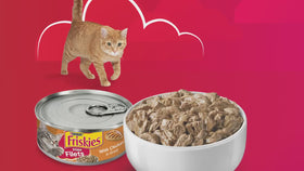Purina Friskies Prime Filet, Chicken in Gravy, Wet Cat Food, 5.5 oz Can