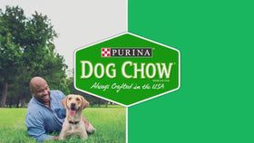 Purina Dog Chow Complete Dry Dog Food for Adult Dogs High Protein, Lamb, 18.5 lb Bag